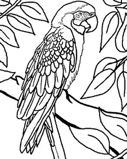 www.coloriageetdessins.com