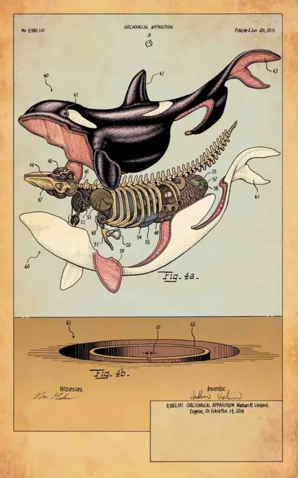 scientificillustration.tumblr.com