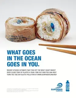 www.surfrider.org