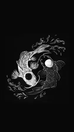 yin-yang-paradise.com