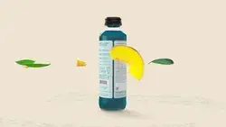 risekombucha.com