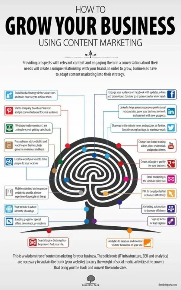 contentmaximiser.com