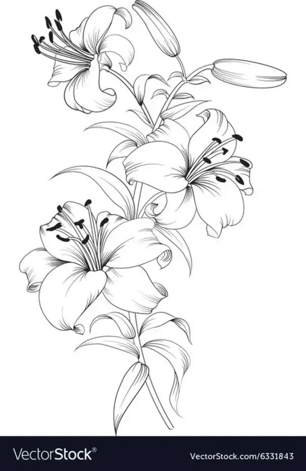 www.vectorstock.com