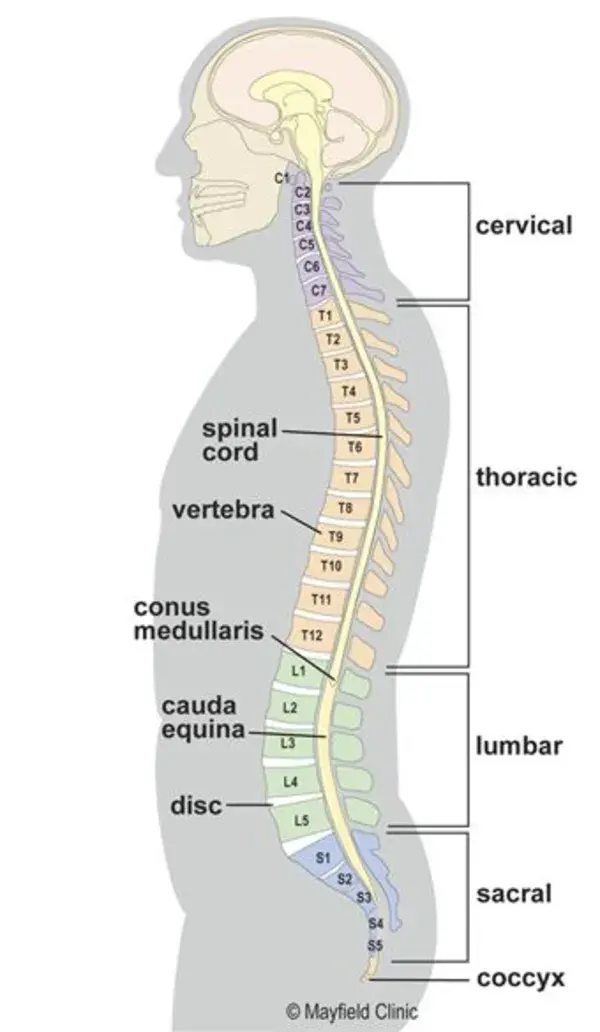 mayfieldclinic.com