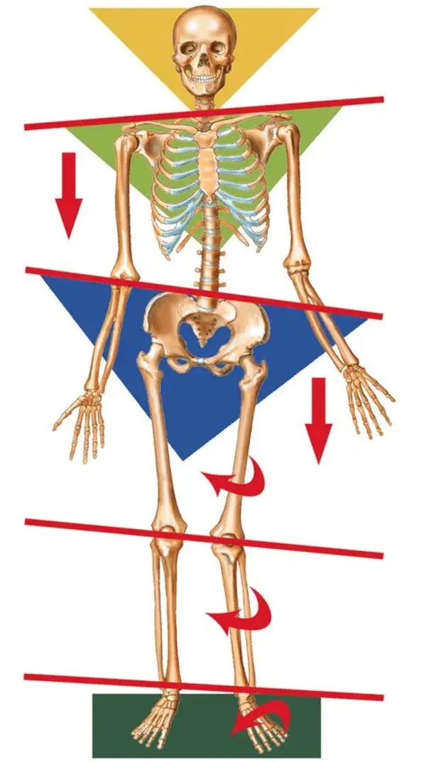 corewalking.com