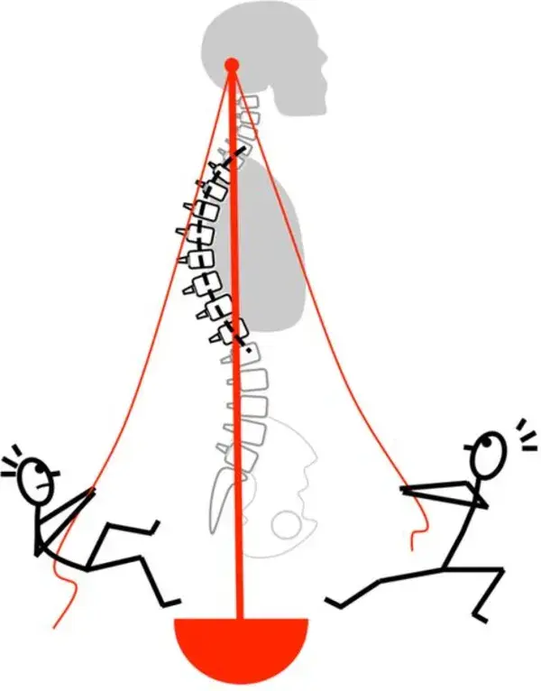 masquefisioterapia.wordpress.com