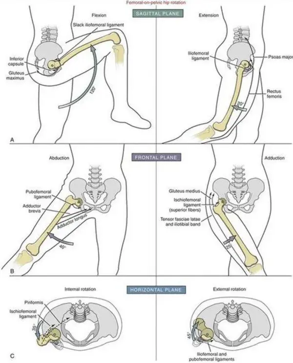 clinicalgate.com