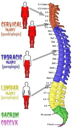 medictests.com