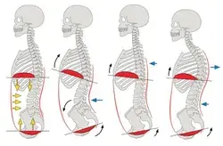 visionexercisephysiology.com.au