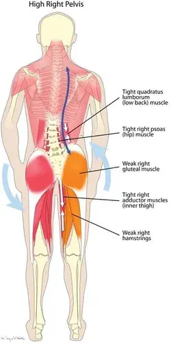 www.manchesterosteopathy.co.uk