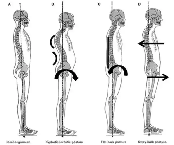 yourpilatesphysio.com