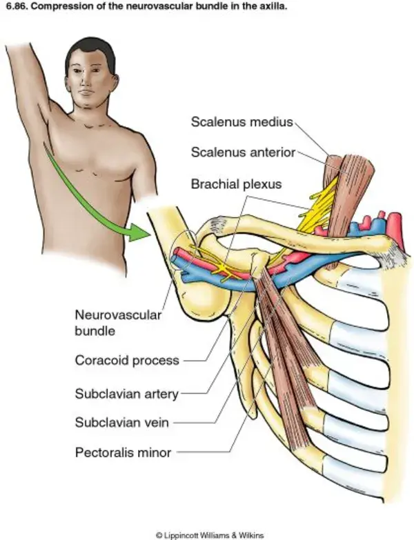 www.physio-pedia.com