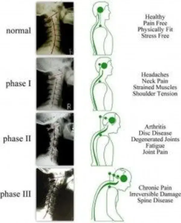 comprehensivespinesportscenter.com