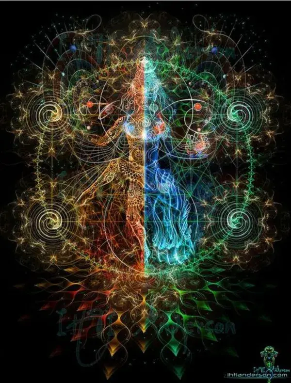 dmt.tumblr.com