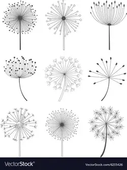 www.vectorstock.com