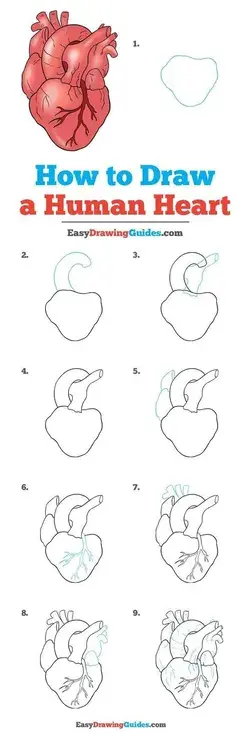 easydrawingguides.com