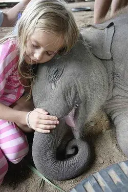 www.elephantnaturepark.org