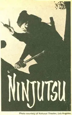 vintageninja.net