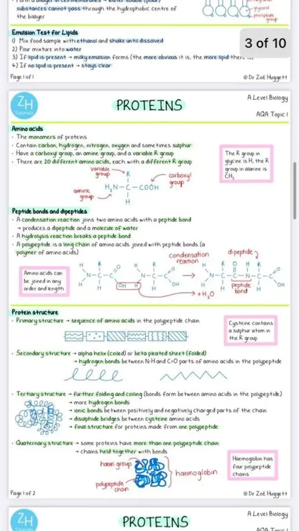 zhtutorials.com