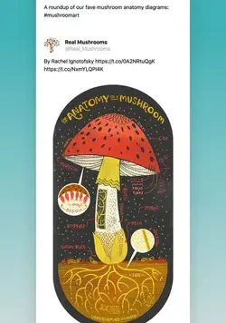 www.realmushrooms.com