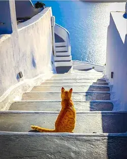 santorinisecrets.com