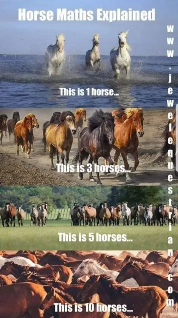 pkhorsemanship.com