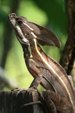 photocontest.smithsonianmag.com