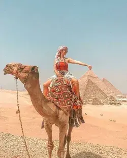 www.maestroegypttours.com