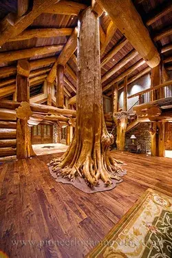 www.pioneerloghomesofbc.com