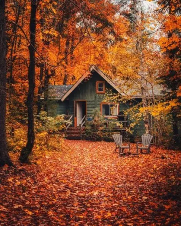 autumncozy.tumblr.com