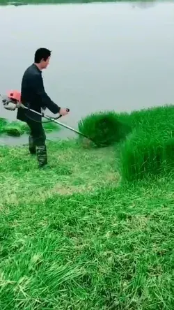 2-Stroke gasoline engine Grass cutter