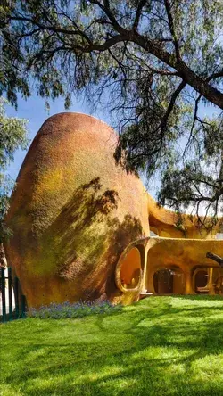 The Tree House in Celaya, Guanajuato, Mexico by Javier Senosiain