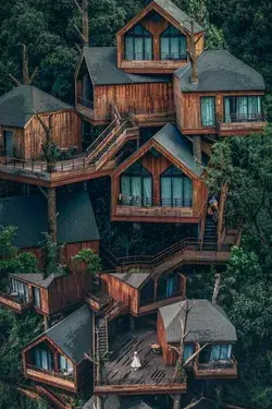 Gorgeous and splendid big tree house design ideas