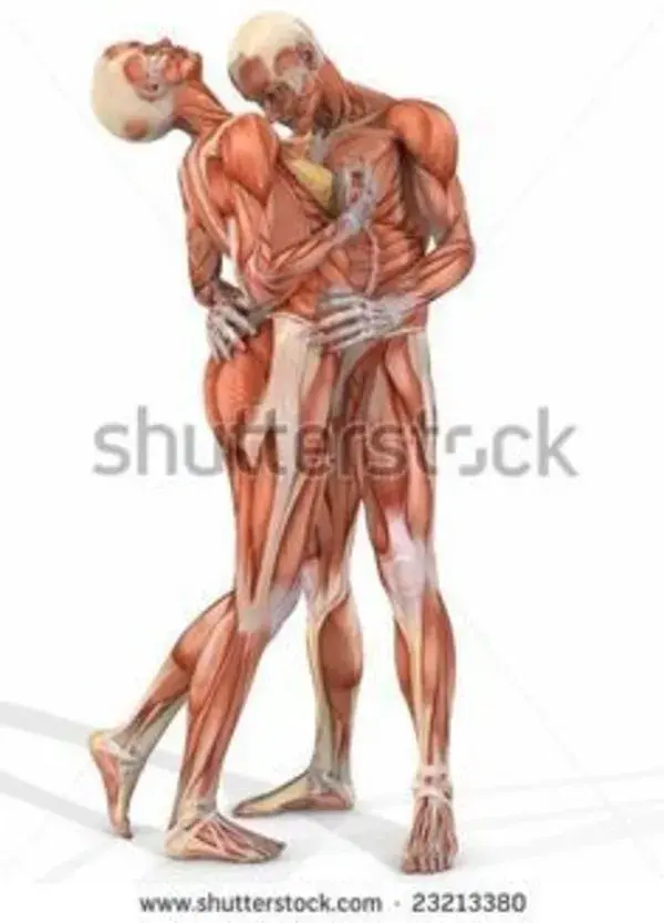 www.shutterstock.com