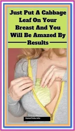 Wrap Your Breasts In Cabbage Leaves and Wait for 1 Hour
