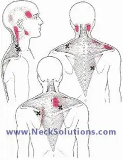 www.necksolutions.com