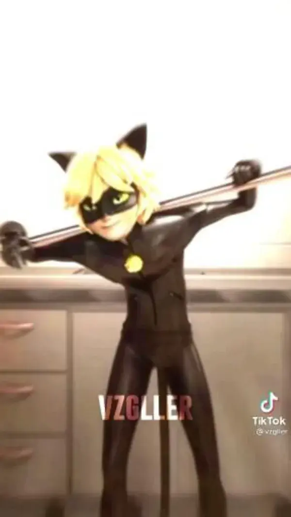 Cat Noir