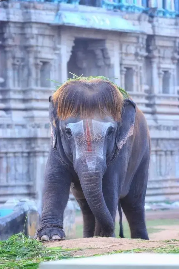 streets-of-india.tumblr.com