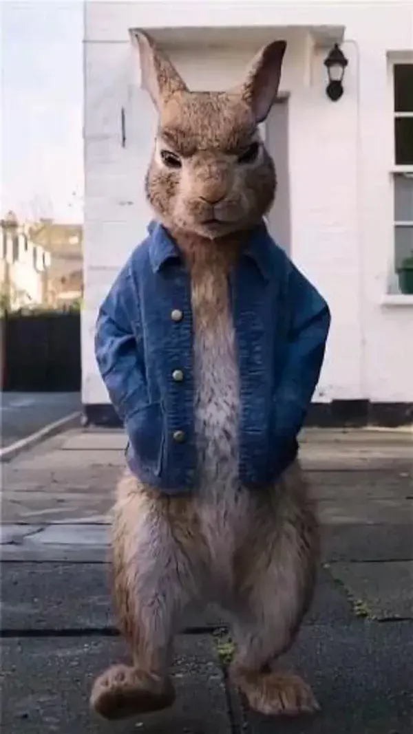 Peter rabbit