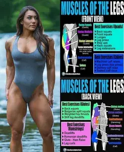 www.fitnessandpower.com