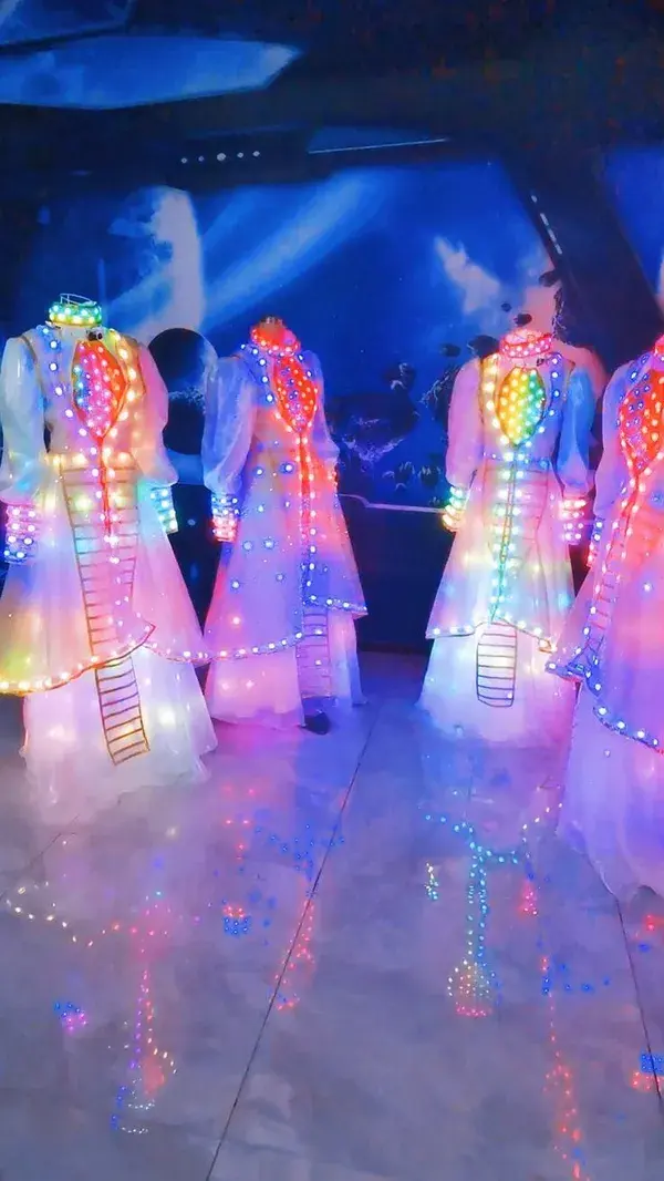 Beautiful LED Light Dress Luminous Costume