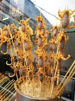 Scorpion Kabobs, street food in Beijing