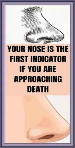 Your Nose is the First Indicator if You are Approaching Death