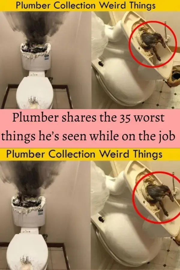 Plumber shares the 35 worst things he’s seen while on the job