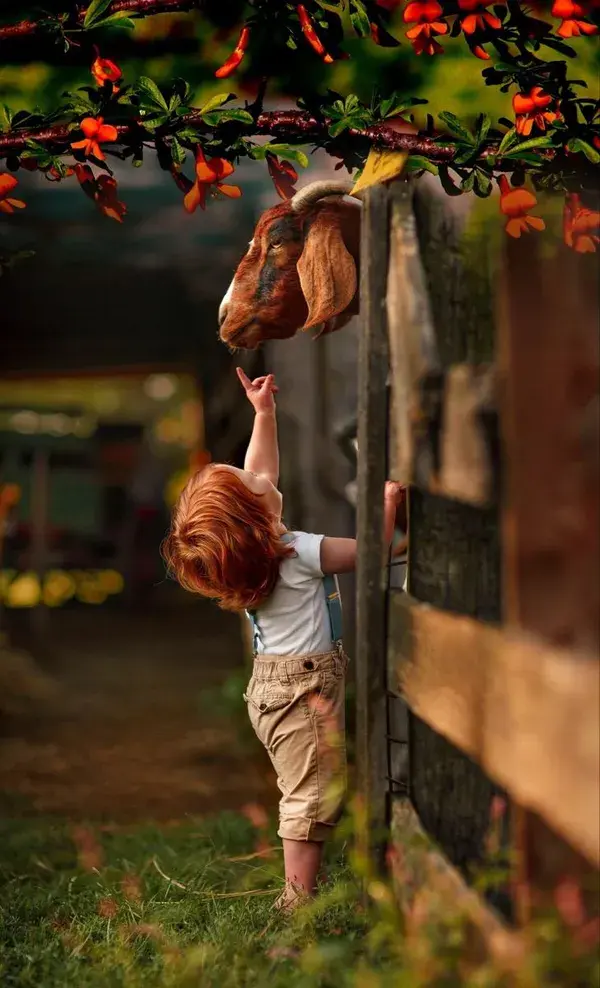 Photo by Adrian Murray of his son, Olson.