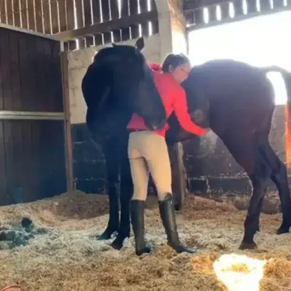 Does your horse enjoys scratches?😍