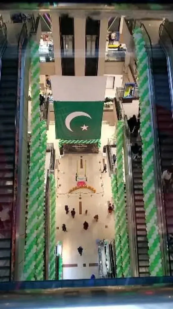 Pakistani National Flag Theme