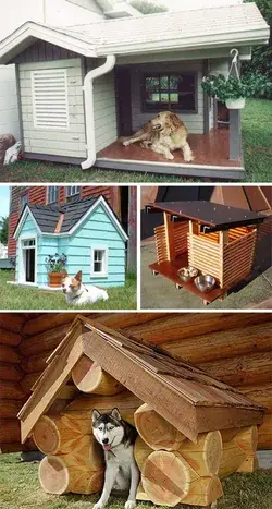 Under Stairs Dog House Ideas to Keep Your  Cute Puppy Warm This Winter