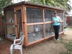 www.pigeonrescue.org