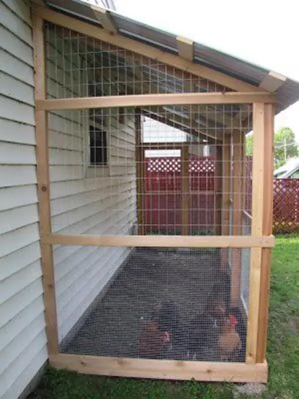 www.backyardchickens.com